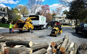 Best Pest Control for Lawns  in Eloy, AZ